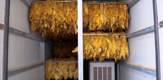 低價、欠款、違規(guī)，3年期限將至，13億河南烤煙電代煤將如何收場？